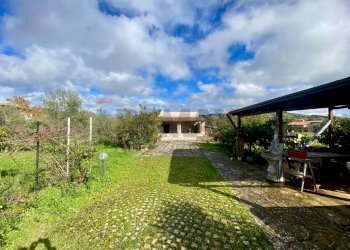 Giardino - Villa viale santa caterina
 
26, Piana degli Albanesi - foto 13