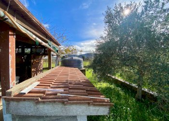 Giardino - Villa viale santa caterina
 
26, Piana degli Albanesi - foto 15