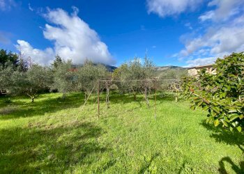 Giardino - Villa viale santa caterina
 
26, Piana degli Albanesi - foto 16