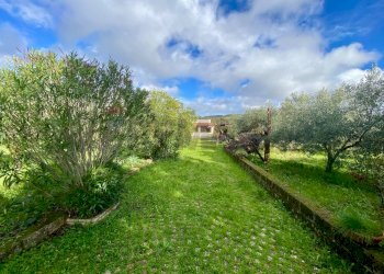 Giardino - Villa viale santa caterina
 
26, Piana degli Albanesi - foto 18
