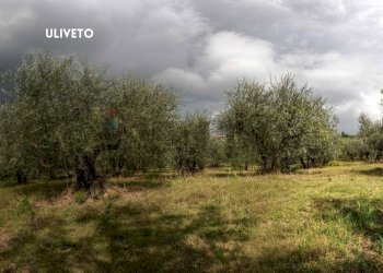 TERRENO - Quadrilocale DELLA MENGONA, Roccastrada - foto 36