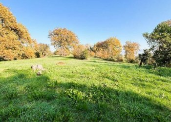 Terreno - Rustico via Capodacqua, Spigno Saturnia - foto 6