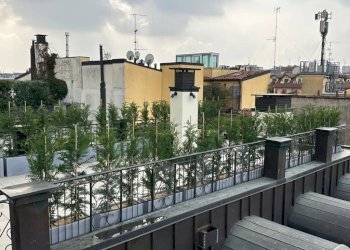 Terrazzo - Attic via Marcona, Milano - photo 43