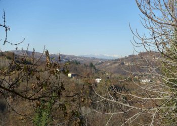 Vista - Villa Regione Boschi, Canelli - foto 4