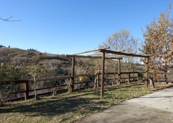 Terreno - Villa Regione Boschi, Canelli - foto 7