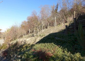 Terreno - Villa Regione Boschi, Canelli - photo 10