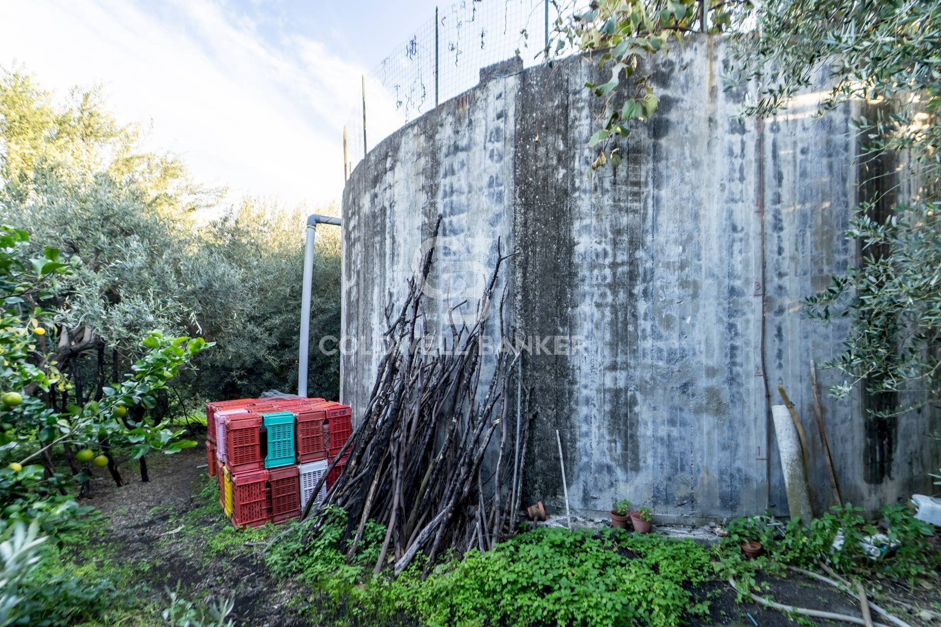 Foto 3 - Terreno agricolo via Provinciale
341, Santa Venerina - foto 3