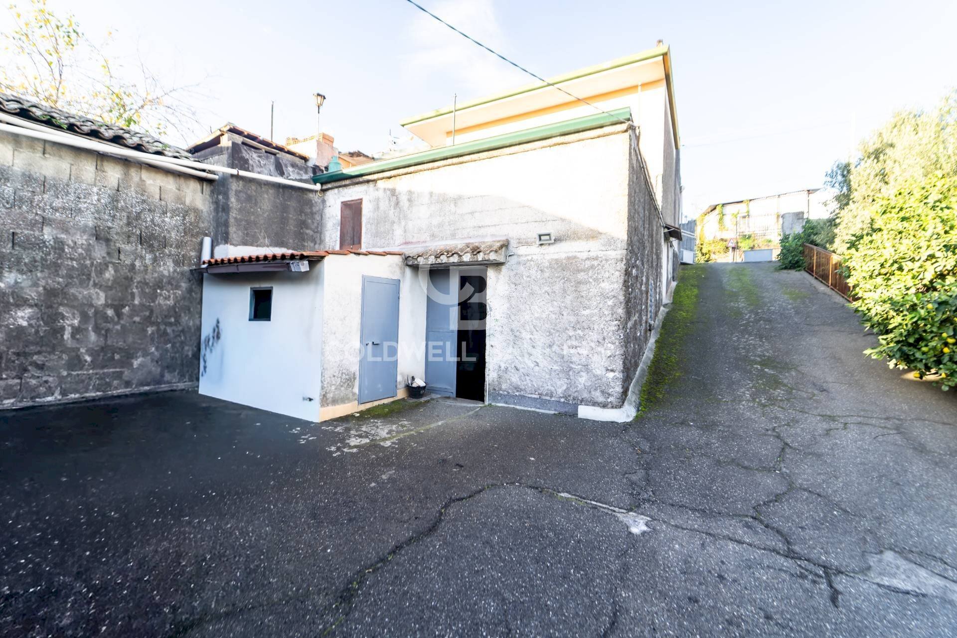 Foto 1 - Terreno agricolo via Provinciale
 
341, Santa Venerina - foto 1