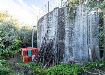 Foto 3 - Terreno agricolo via Provinciale
 
341, Santa Venerina - foto 3