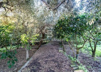 Foto 8 - Terreno agricolo via Provinciale
 
341, Santa Venerina - foto 8