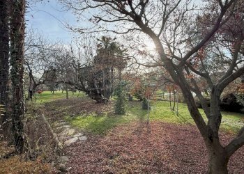 Giardino - Villa via Giuseppe Verdi, 4, Ponderano - foto 8