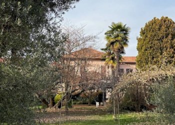 Giardino - Villa via Giuseppe Verdi, 4, Ponderano - foto 10