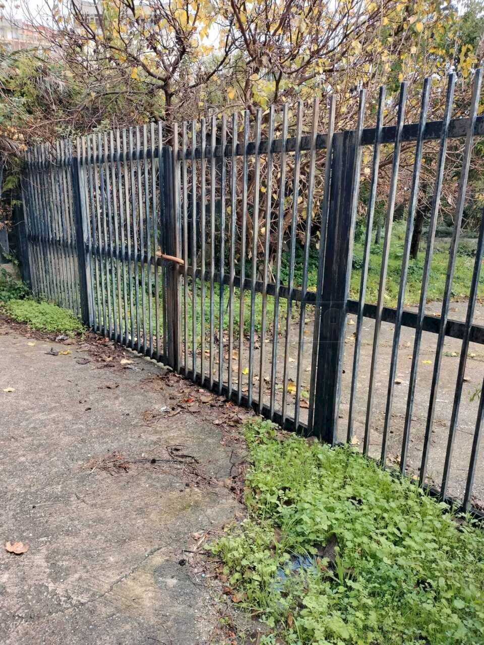 WhatsApp Image 2025-12-16 at 17.41.02.jpeg - Terreno agricolo Vico del Maró 6, Messina - foto 2