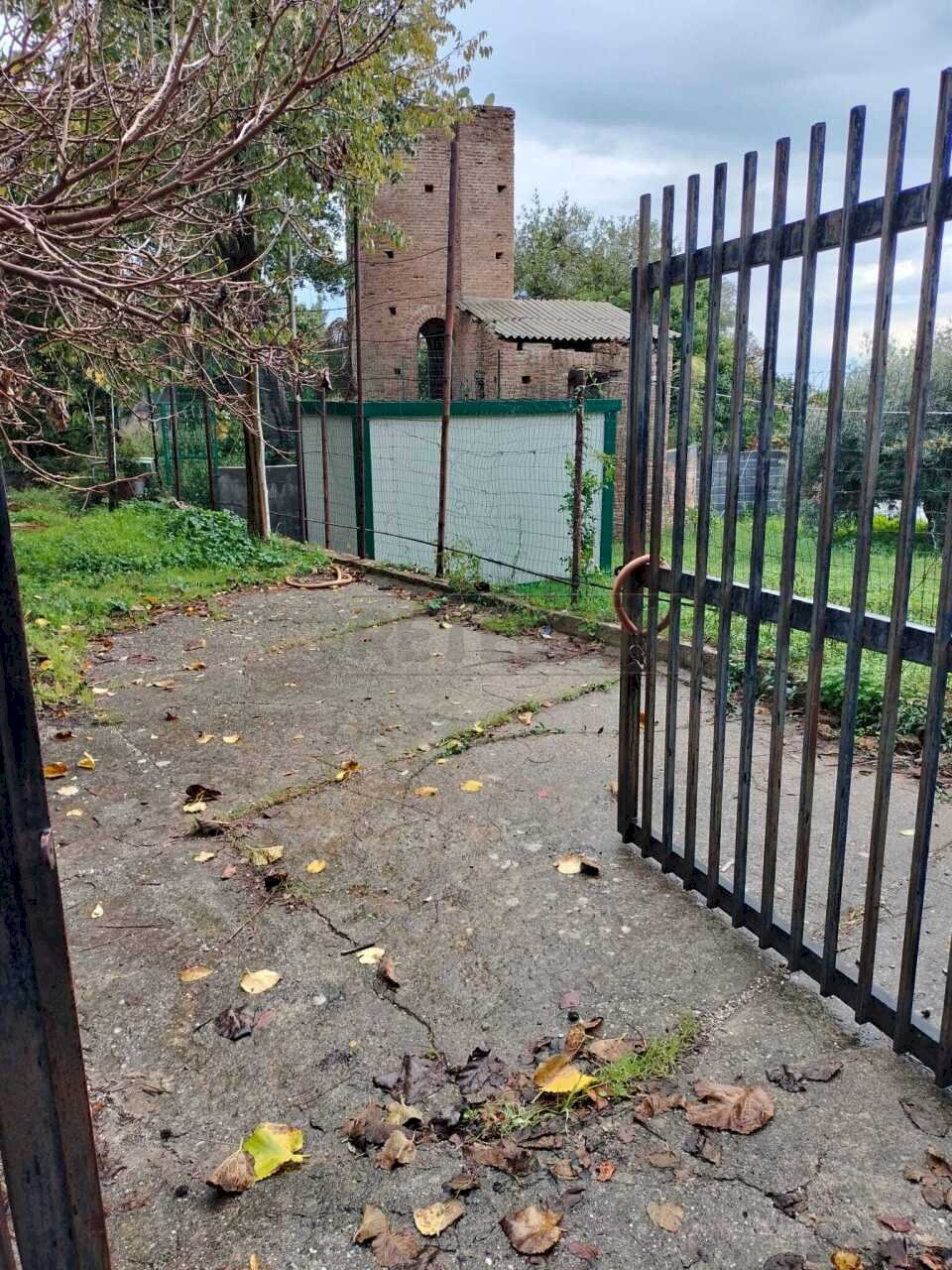 WhatsApp Image 2025-12-16 at 17.41.02 (1).jpeg - Terreno agricolo Vico del Maró 6, Messina - foto 3