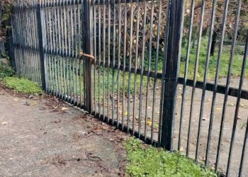 WhatsApp Image 2025-12-16 at 17.41.02.jpeg - Terreno agricolo Vico del Maró 6, Messina - foto 2