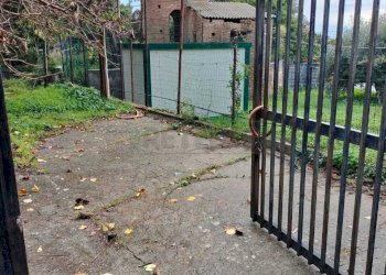 WhatsApp Image 2025-12-16 at 17.41.02 (1).jpeg - Terreno agricolo Vico del Maró 6, Messina - foto 3