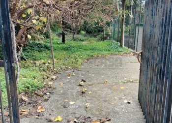 WhatsApp Image 2025-12-16 at 17.41.02 (2).jpeg - Terreno agricolo Vico del Maró 6, Messina - foto 4