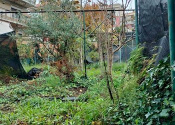 WhatsApp Image 2025-12-16 at 17.41.03.jpeg - Terreno agricolo Vico del Maró 6, Messina - foto 7