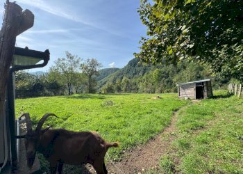 Casa semi indipendente Pontremoli - foto 21