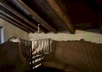 Rif 1860 (27).JPEG - Panineria - Piadineria - Creperia Piazza Concezione 10, Sassello - foto 23