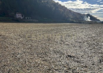 IMG_7031.JPG - Terreno edificabile Via Don Giovanni Calabria, Tregnago - foto 5