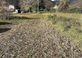 IMG_7034.JPG - Terreno edificabile Via Don Giovanni Calabria, Tregnago - foto 7