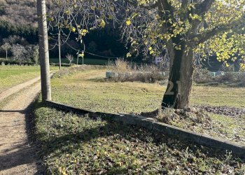 IMG_7054.JPG - Terreno edificabile Via Don Giovanni Calabria, Tregnago - foto 8