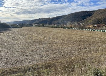 IMG_7048.JPG - Terreno edificabile Via Don Giovanni Calabria, Tregnago - foto 15