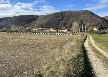 IMG_7051.JPG - Terreno edificabile Via Don Giovanni Calabria, Tregnago - foto 13