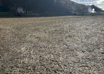 IMG_7029.JPG - Terreno edificabile Via Don Giovanni Calabria, Tregnago - foto 17