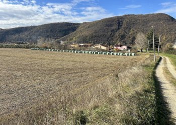 IMG_7050.JPG - Terreno edificabile Via Don Giovanni Calabria, Tregnago - foto 19