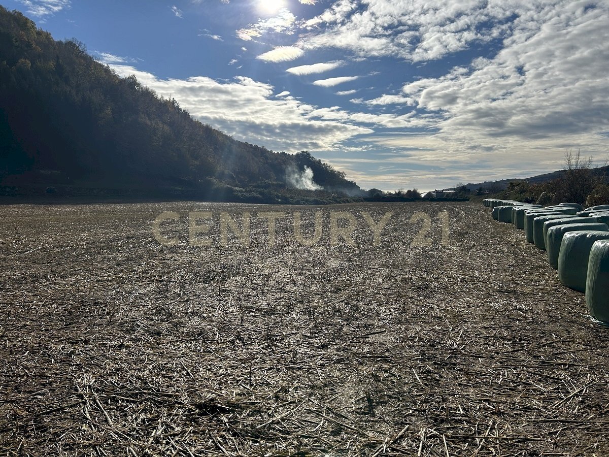IMG_7030.JPG - Terreno edificabile Via Don Giovanni Calabria, Tregnago - foto 3