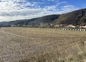 IMG_7052.JPG - Terreno edificabile Via Don Giovanni Calabria, Tregnago - foto 11