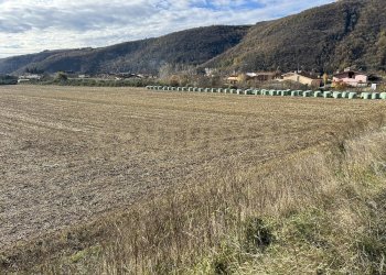 IMG_7049.JPG - Terreno edificabile Via Don Giovanni Calabria, Tregnago - foto 6