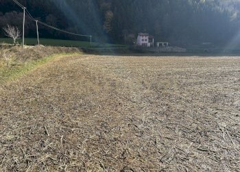 IMG_7032.JPG - Terreno edificabile Via Don Giovanni Calabria, Tregnago - foto 7