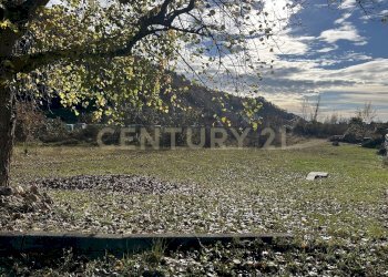 IMG_7053.JPG - Terreno edificabile Via Don Giovanni Calabria, Tregnago - foto 18