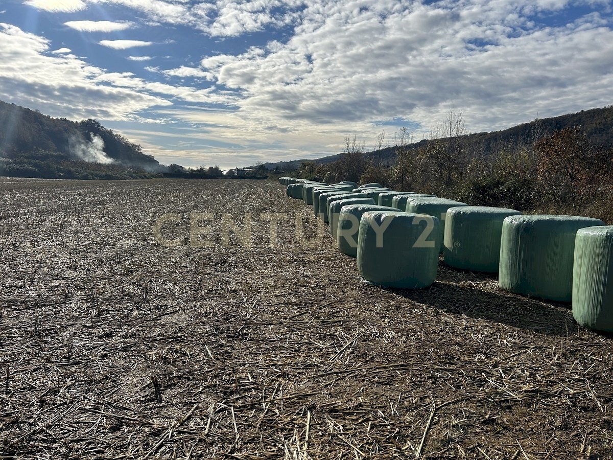 IMG_7033.JPG - Terreno edificabile Via Don Giovanni Calabria, Tregnago - foto 3
