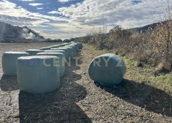 IMG_7035.JPG - Terreno edificabile Via Don Giovanni Calabria, Tregnago - foto 15