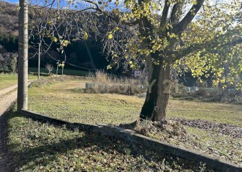 IMG_7056.JPG - Terreno edificabile Via Don Giovanni Calabria, Tregnago - foto 20