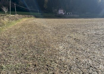 IMG_7028.JPG - Terreno edificabile Via Don Giovanni Calabria, Tregnago - foto 8