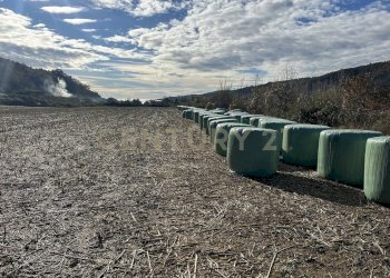 IMG_7033.JPG - Terreno edificabile Via Don Giovanni Calabria, Tregnago - foto 12