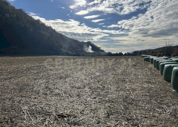 IMG_7030.JPG - Terreno edificabile Via Don Giovanni Calabria, Tregnago - foto 3