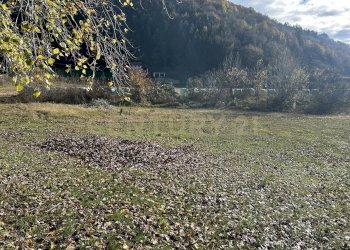 IMG_7057.JPG - Terreno edificabile Via Don Giovanni Calabria, Tregnago - foto 20