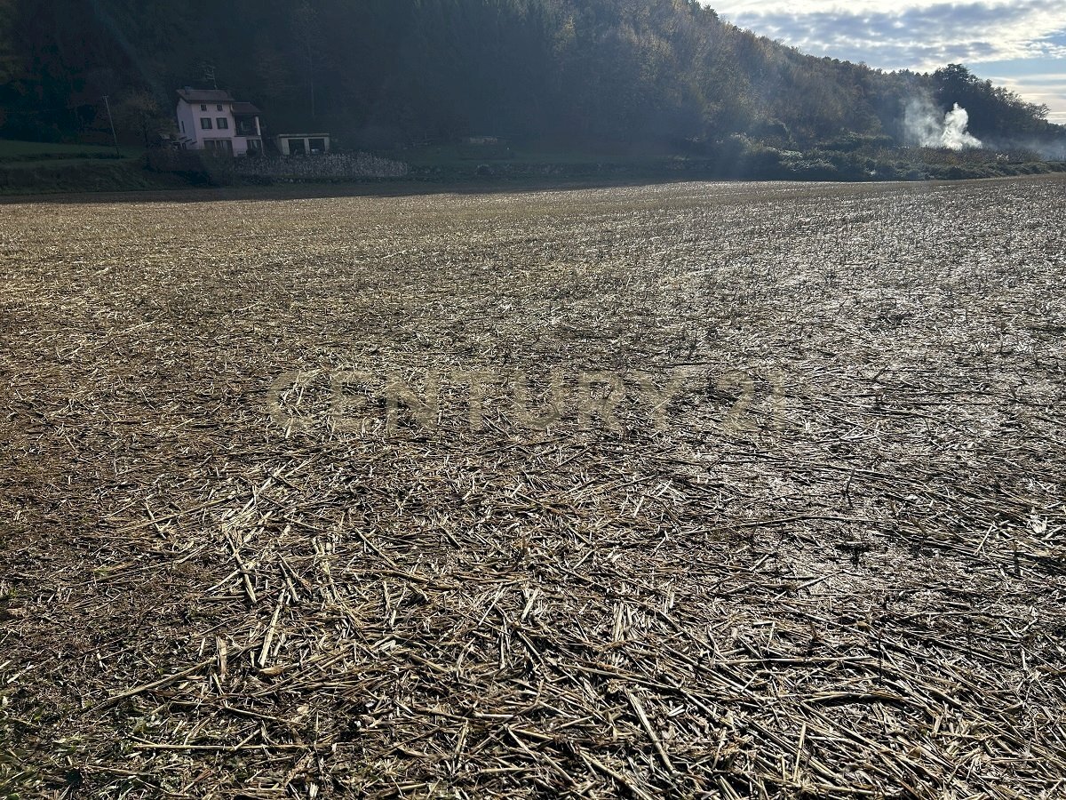 IMG_7029.JPG - Terreno edificabile Via Don Giovanni Calabria, Tregnago - foto 1