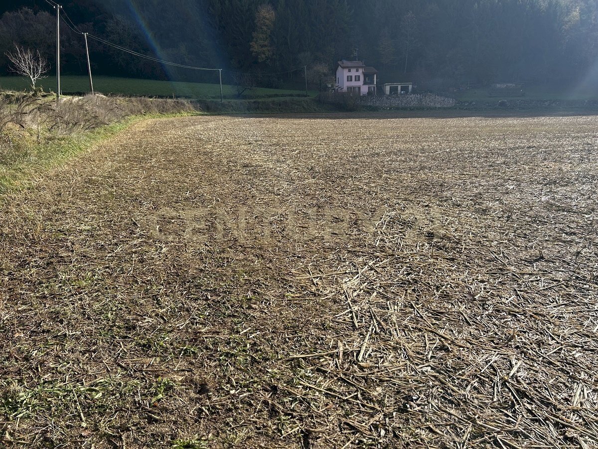 IMG_7028.JPG - Terreno edificabile Via Don Giovanni Calabria, Tregnago - foto 3