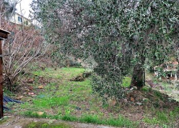 Casa indipendente Località Ortopino, Diano Marina - foto 26