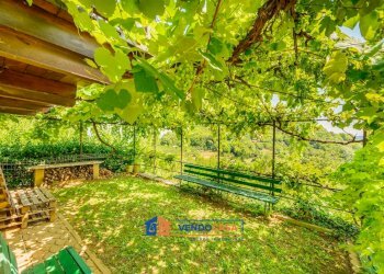 Magazzino Boves - foto 3