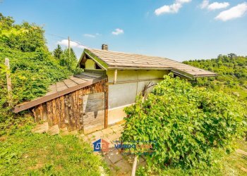 Magazzino Boves - foto 19