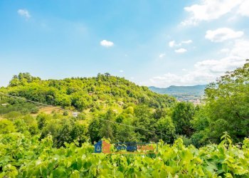 Magazzino Boves - foto 22