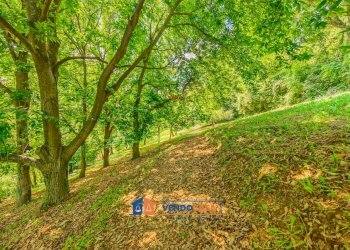 Magazzino Boves - foto 24
